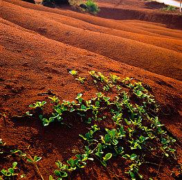 传《奇异博士2：失控多重宇宙》或将联动《堡垒之夜》